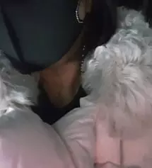 끈을 조절할 수 있어서 귀가 아프지않아요
