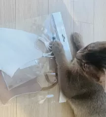 악성민감형 피부입니다 이건 소재 자체가 정말 좋아서 구런지 피부에 자극이 없어요~^^