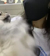 세련된 마스크입니다
