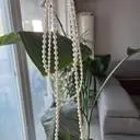 잘받았었요. 하나쯤 있음 좋을것 같아서 주문했네요
2줄