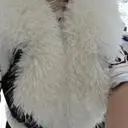 긴 기다림끝에 주문해서 받았습니다
일단 털이 몽실몽실 