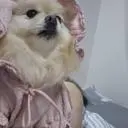 생각보다 너무리무이뻐요
회색이없어서 핑크로샀는데 사이즈