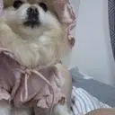 생각보다 너무리무이뻐요
회색이없어서 핑크로샀는데 사이즈