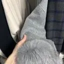 이제품 블랙 프라이데이 때 가장 잘 산 제품 같아요. 