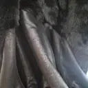 럭셔리해요 ^^ 단추 디테일도 예뻐서 옷에 신경쓴 느낌