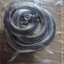 여릉에 코디하려고 실버도 구매하고 골드도 했어요. 포인