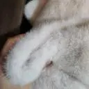 굉장히 두툼하구 귀여워요 가볍구요. 뽀송뽀송한 느낌의 