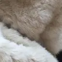 작년엔 아무생각 없었는데 상품평보구 올해 구매했어요 
