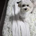 너무 편하게 겨울멋쟁이되지요 부들부들 너무 따듯하고 편