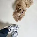 아니..신발 왜이케 이뽀요..
명품 저리가라네유~♡
키