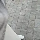 쪼아요.고급져요.이쁘게 할 수있겠어요.원피스위에 툭 걸