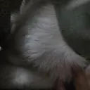 요것요것 넘 우아하고 이쁘네요
부드렵고 브라운 이랑 같