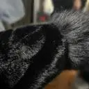 블랙 브라운 두개 구매했는데 두개 다 넘 이빠요~
검정