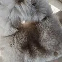 예뻐요♡ 
제가 찾던 가방이라 바로 구입했어요.
사이즈