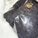 어깨패드밋집
줄로그없음 
큰일납니다
줄매옷은
언제나사랑