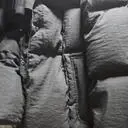 완죤 죤예~입고나갔는데 다들이쁘데요~옷이주목받던날~그런