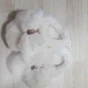 푹신푹신 너무 귀여워요 우리딸 사줬는데 잜신고 다니네요