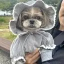 너무사랑스럽고  귀여워요  
디테일하고  소재가 따뜻해