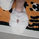 슬리퍼잘삿어요~
겨울에 보일러 안틀고도 신고 잇음 따뜻