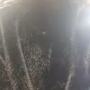 윤기가 자르르 흐르고 따뜻하고
길이가 엉덩이덮는 기장이